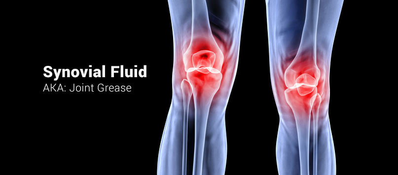 synovial fluid